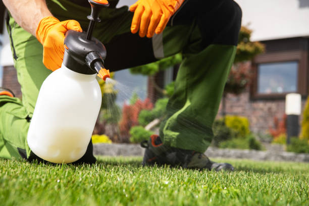 Reliable Shiloh, IL Pest Control Solutions