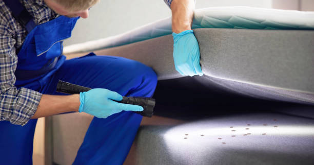Best Flea Control Services  in Shoh, IL
