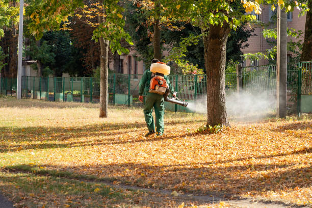 Best Pest Control Near Me in Shiloh, IL