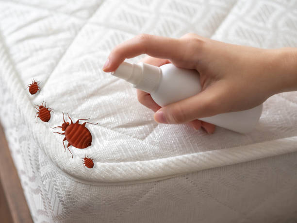 Best Local Pest Control Services  in Shoh, IL