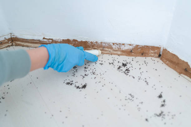 Best Wildlife Control Services  in Shoh, IL