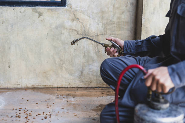 Best Cockroach Control Services  in Shoh, IL