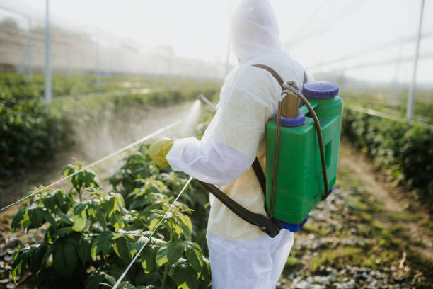 Best Commercial Pest Control Services  in Shoh, IL